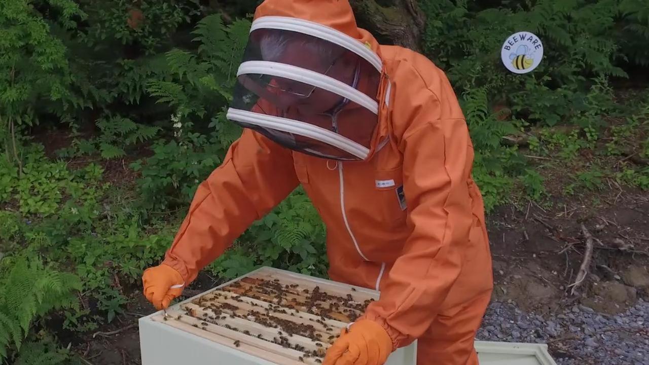 The Bee Pods Rossnowlagh Exterior foto